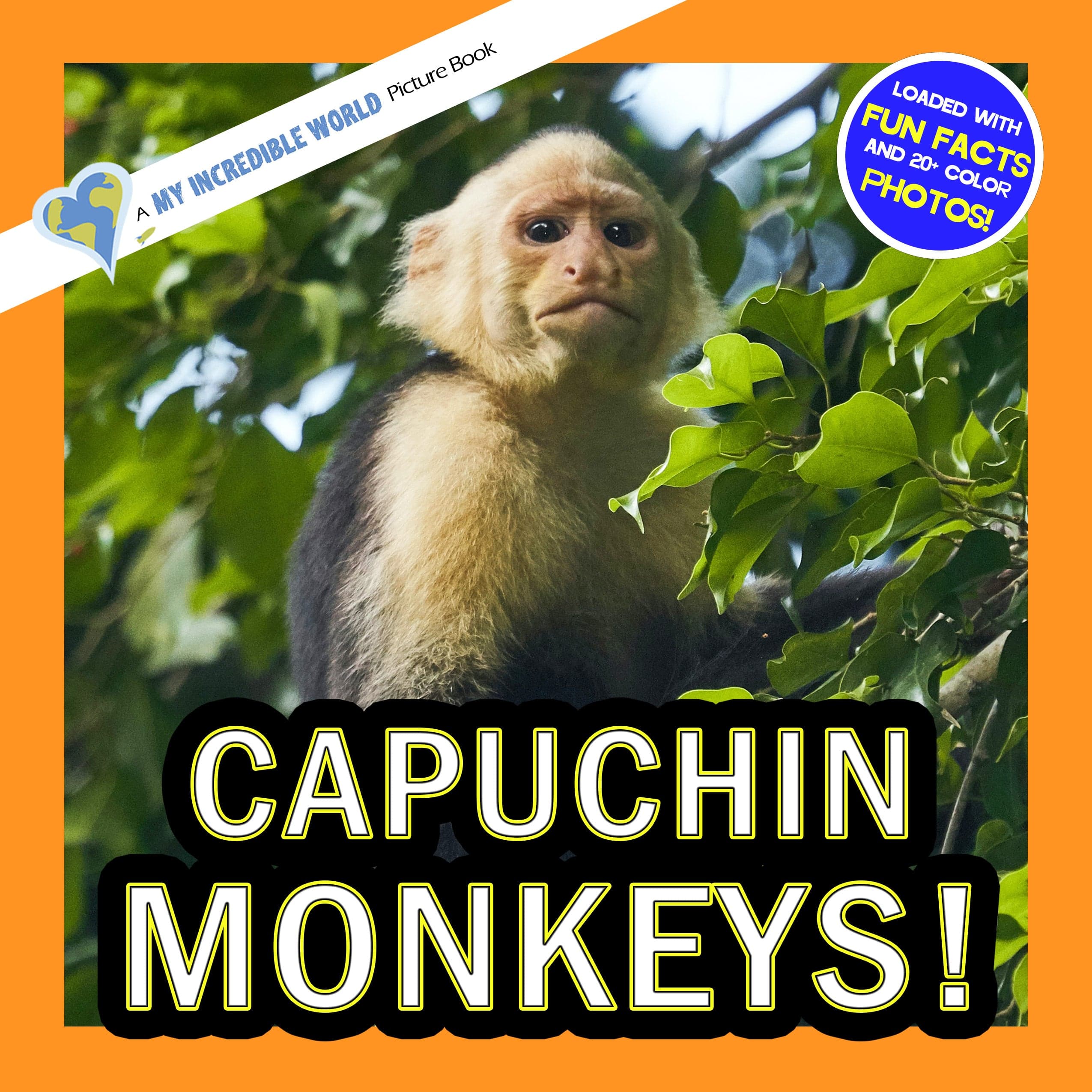 Capuchin Monkeys! A My Incredible World Picture Book for Children